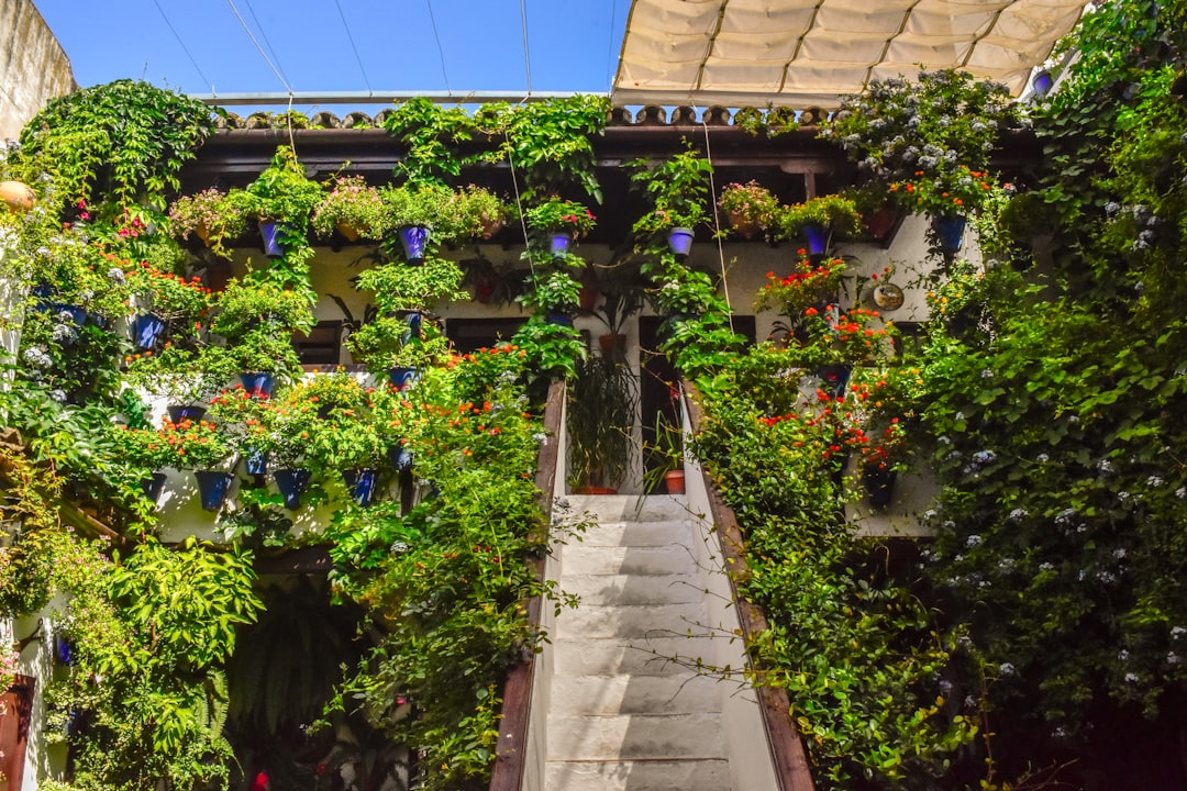 Photo by Alex A building with a bunch of plants growing on it