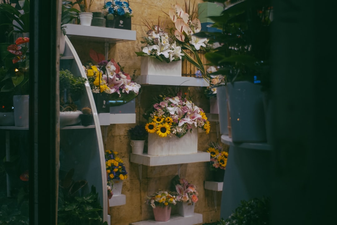 Photo by mdreza jalali Assortment of colorful flowers displayed on shelves.